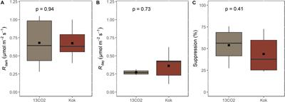 Canopy Position Influences the Degree of Light Suppression of Leaf Respiration in Abundant Tree Genera in the Amazon Forest